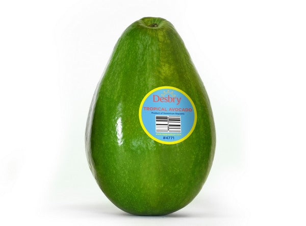 Avocado Dominican