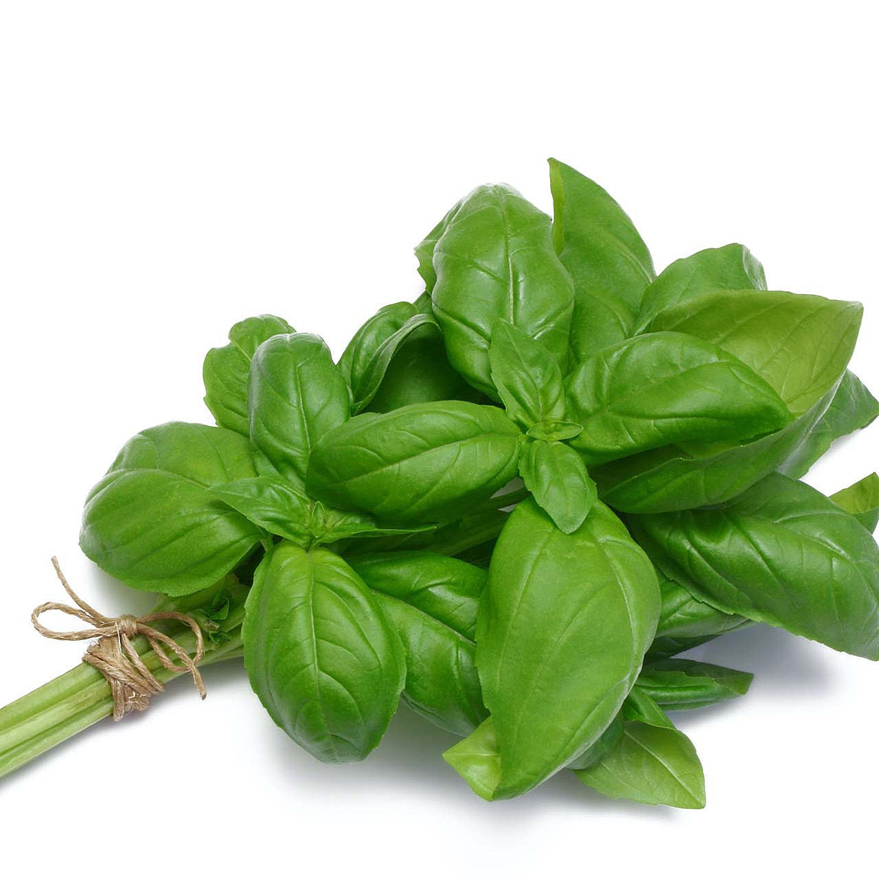 Basil Fresh Lb