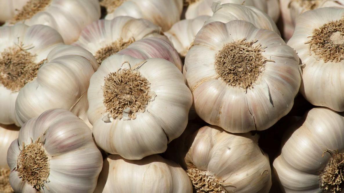 Garlic whole 10LB