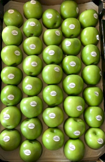 Apple Granny #80