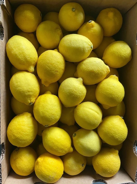Lemon #140