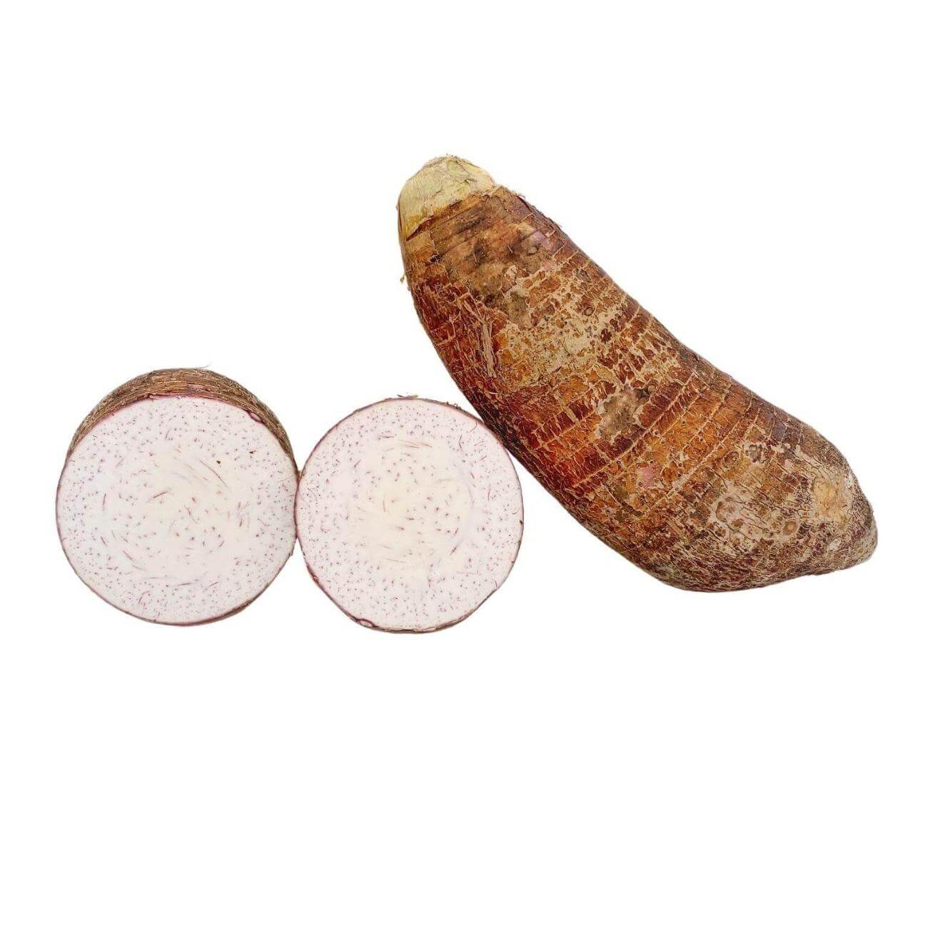 Malanga Coco cs