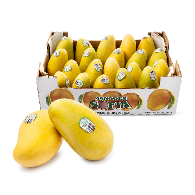 Mango Atulfo #12