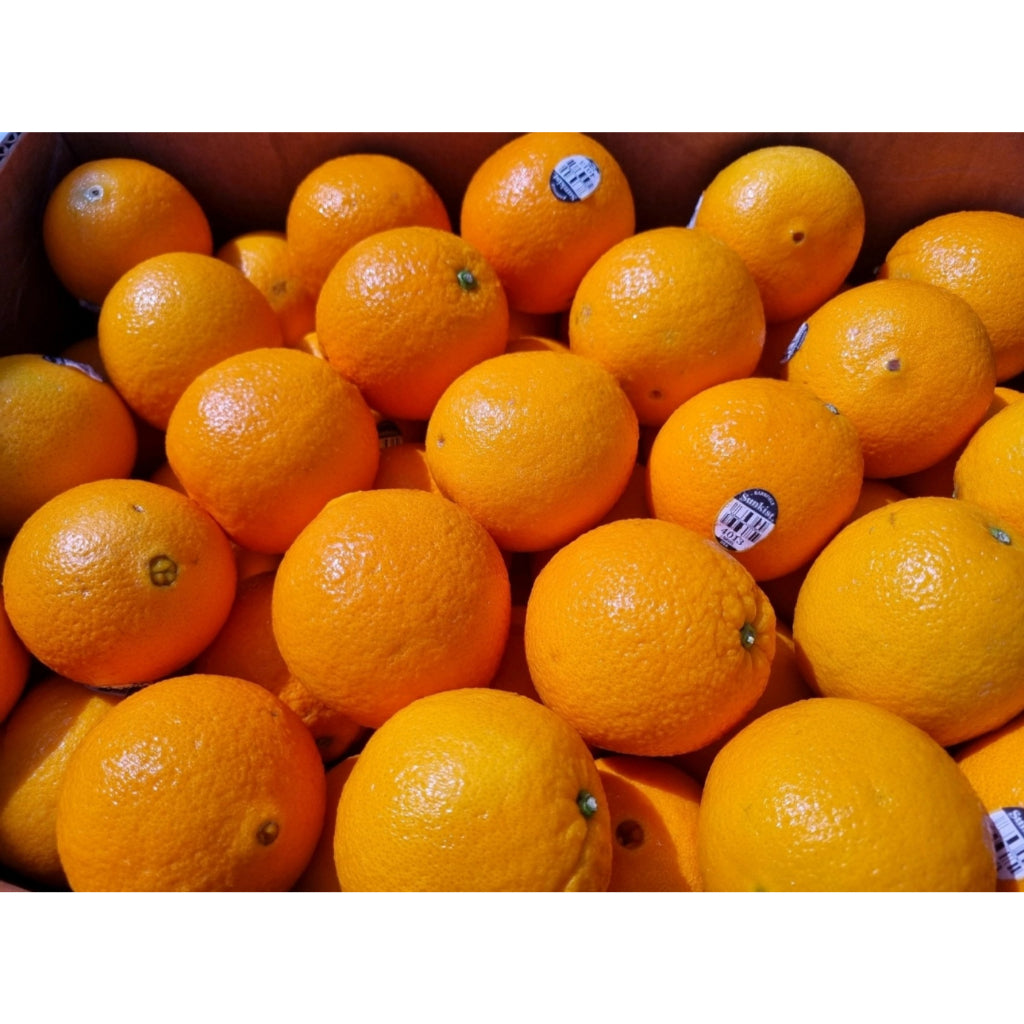 Orange Juice #113