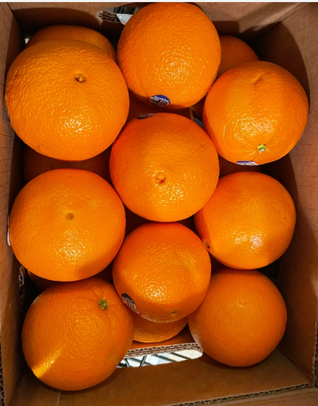 Orange Retail #48