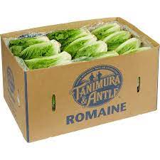 Romaine Loose