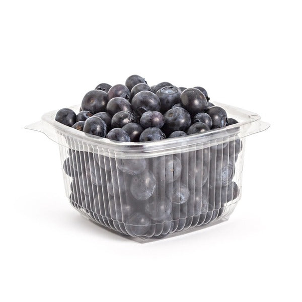 Blueberries Unit