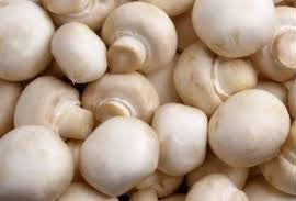 Mushroom medium
