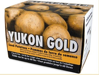 Potatoe Yucon B Box