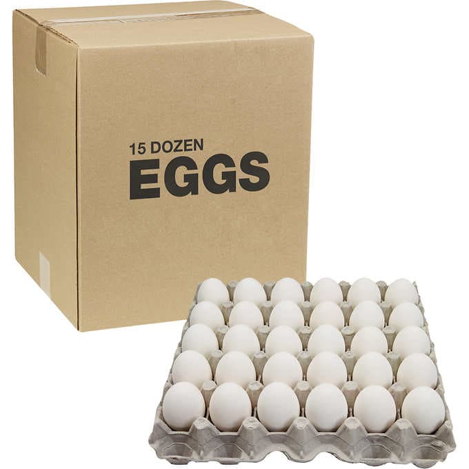 EGGS