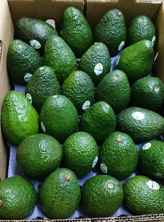 Avocado #48 1/2Case