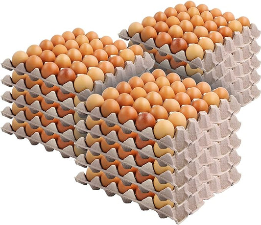 Eggs 30dz Jumbo Carton