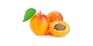 Apricot