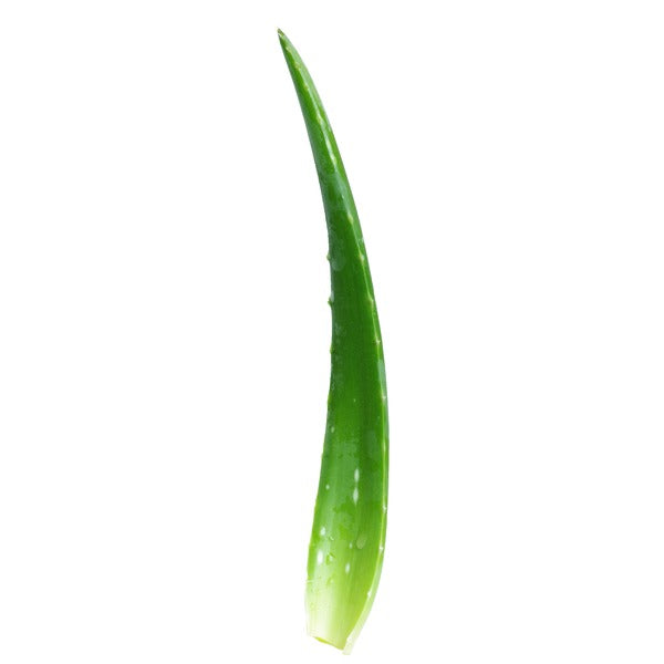 Aloe vera PCS