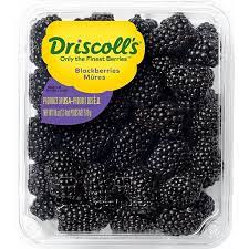 Blackberry Driscoll