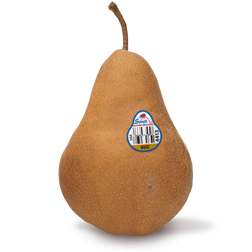 Pear Bosc