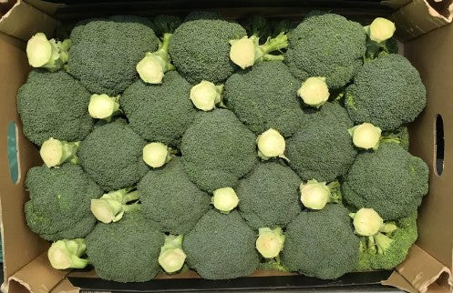 1/2 Case Broccoli Crown