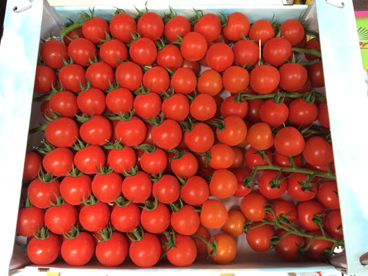 Cherry Tomatoes on Vin 6.6lb.