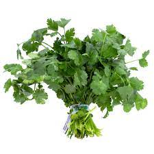 Cilantro Bunch