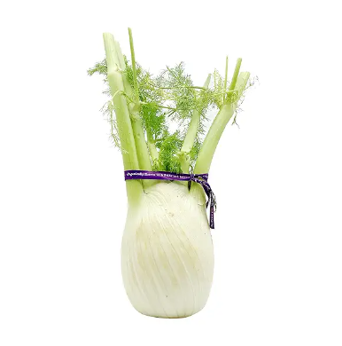 Fennel. PC