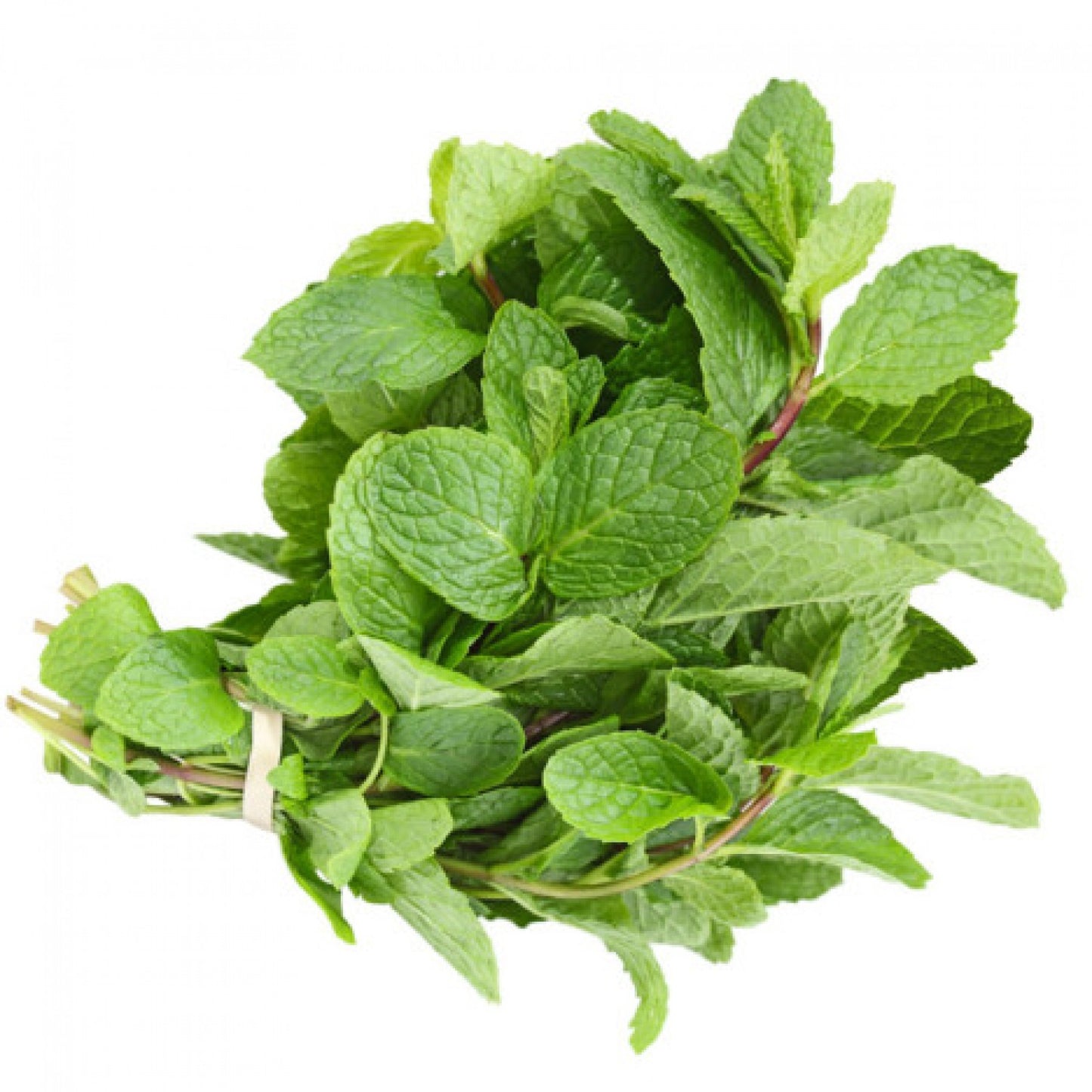 Mint fresh 1 Kilo