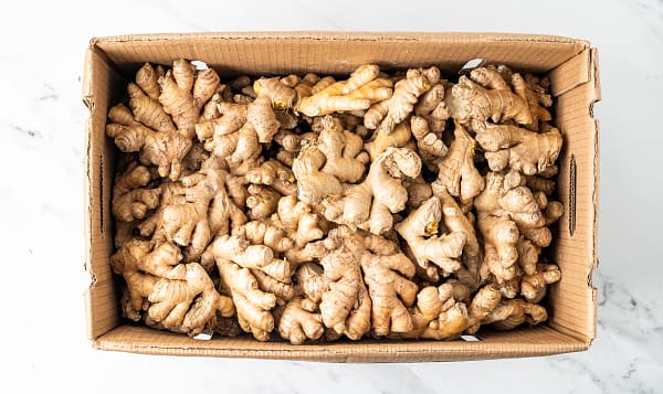 Ginger organic Case