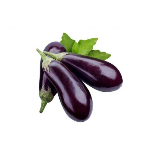 Eggplant Holland Case