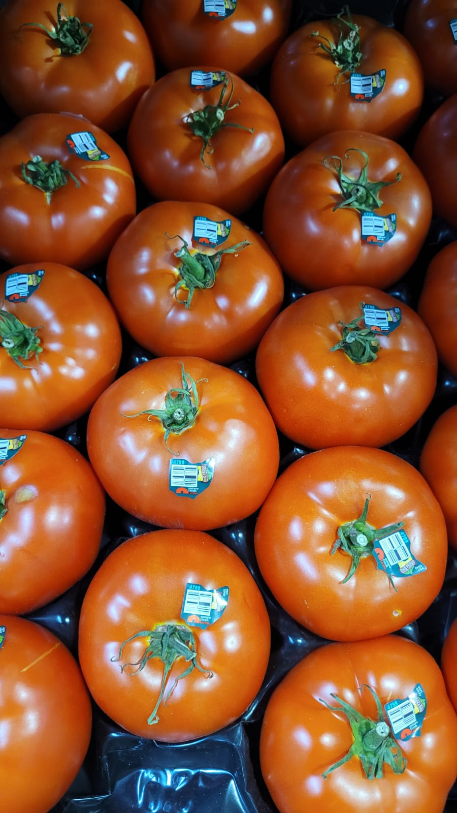 Beefsteak Tomatoes 15lb