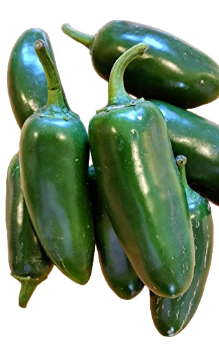 Jalapeno pepper  3Lb