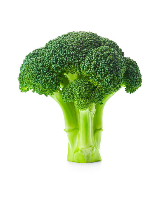 Broccoli Bunch