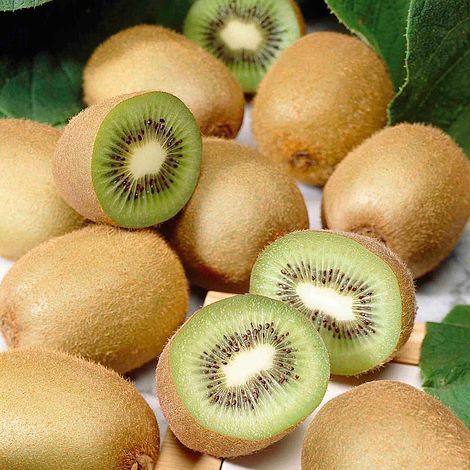 Kiwi LG  #25/27