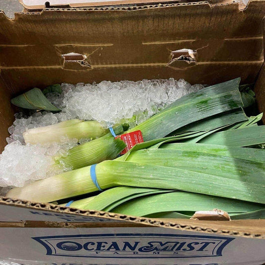 Leek Case