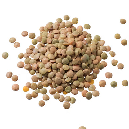 Lentil Beans - 25 Lb