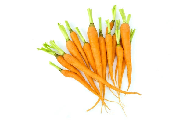 Carrots Mini