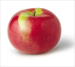 Apple Mcintosh #100