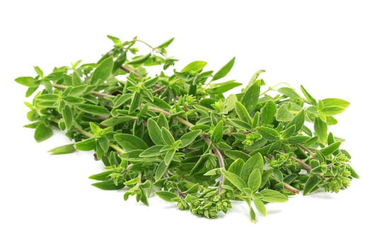 LB Oregano