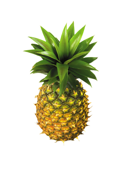 Pineapple #6