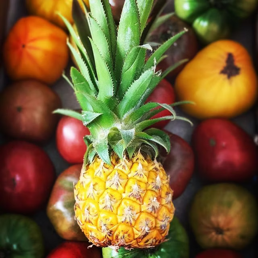 Pineapple Baby