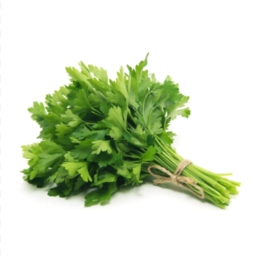 Parsley Italian clean Bunch