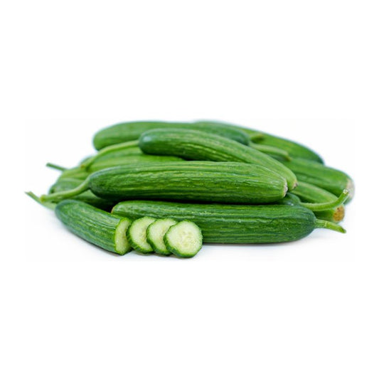 Cucumber Persian