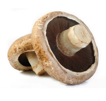 Mushroom Portobello Lg