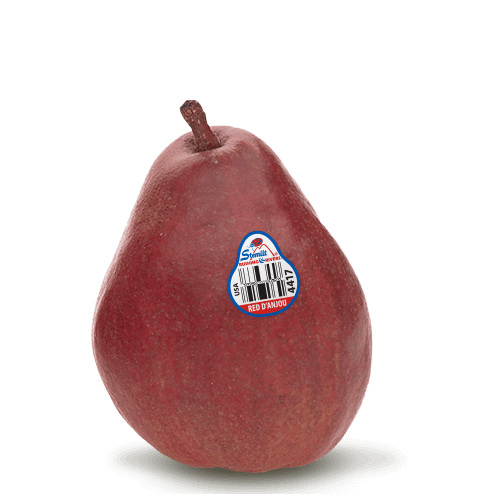 Pear Red dAnjou