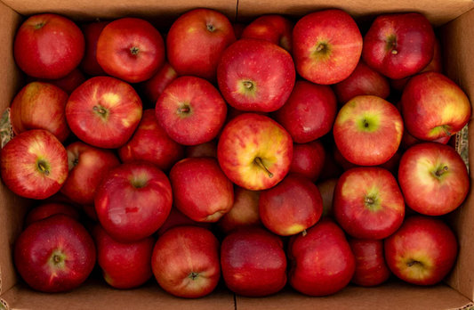 Apple Red Delicious #80