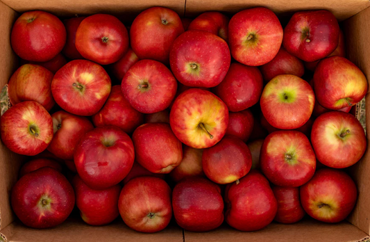 Apple Red delicious #100