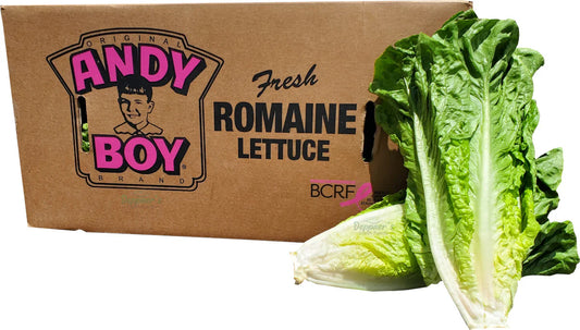 Romaine Loose A/B