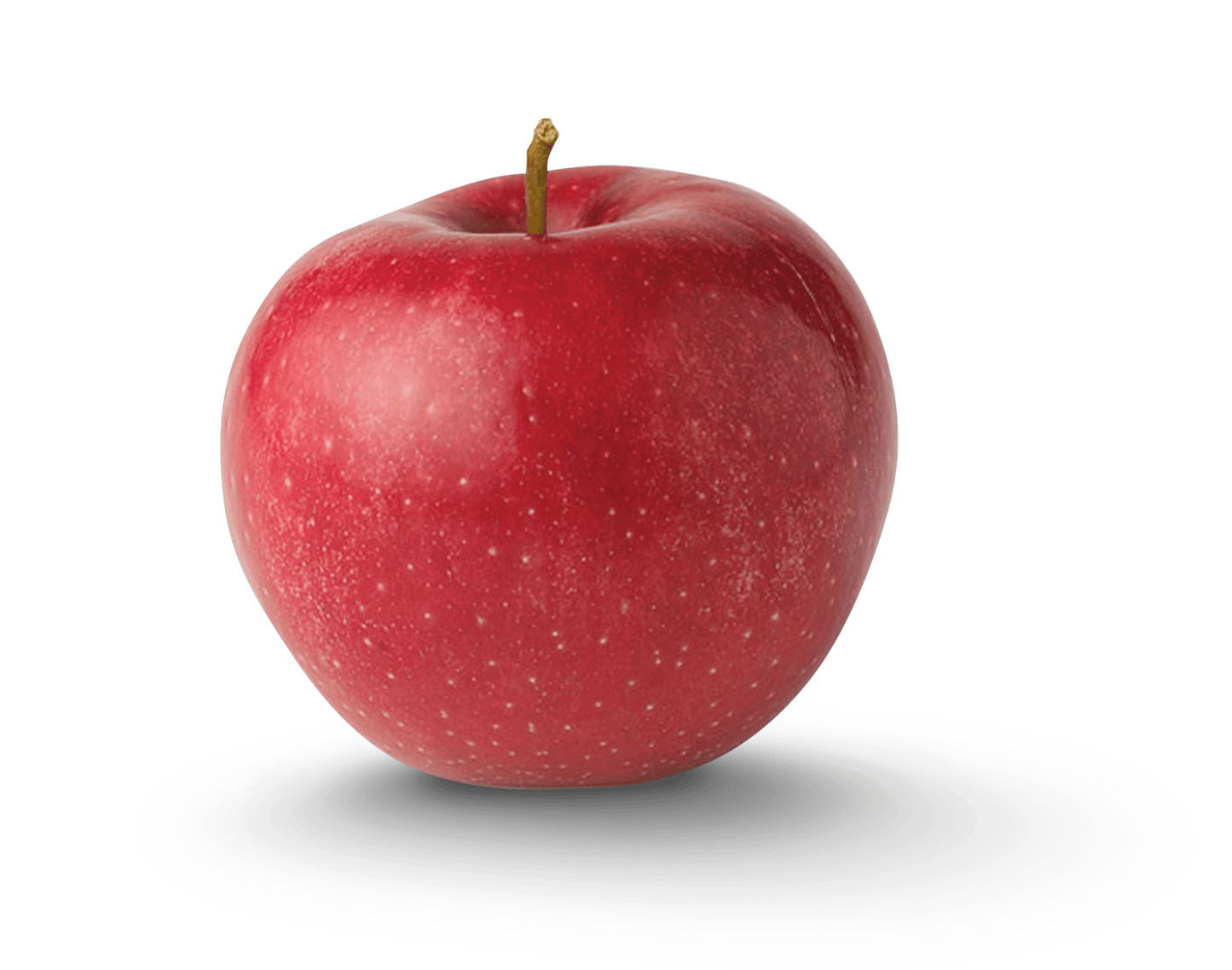 Apple Rome #64