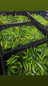Serrano Pepper BOX