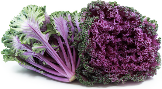 Red Savoy Kale