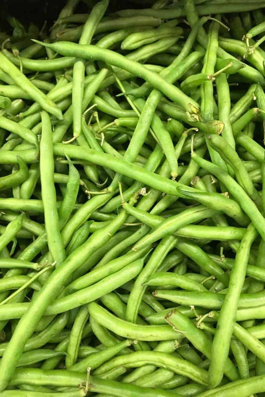 Snip Beans - 2/5 Lb Bag