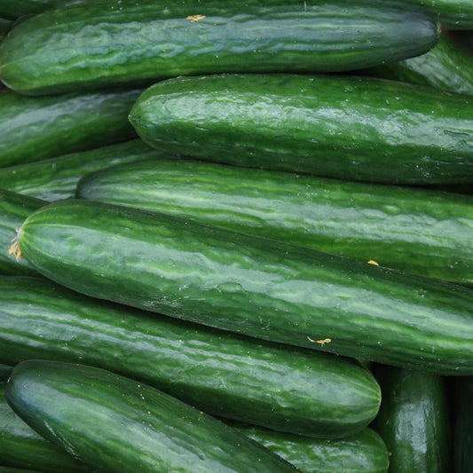 Cucumber Case